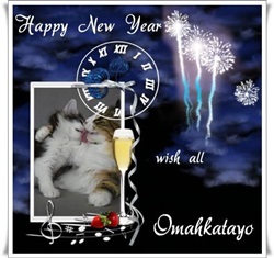 Happy New Year 2015 wish all cattery Omahkatayo*PL © Anna Lipecka