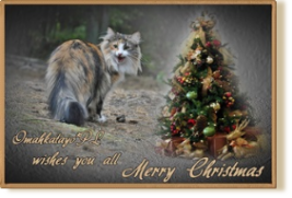 Omahkatayo*PL wishes you all Merry Christmas  © Anna Lipecka